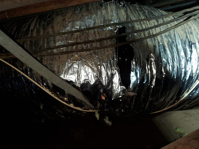Free Attic Inspection Service Near Me - San Diego