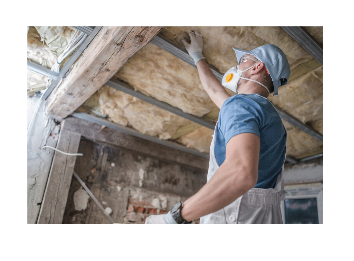 Rated 1 Attic Cleaning San Diego Free Attic Cleaning Esimates